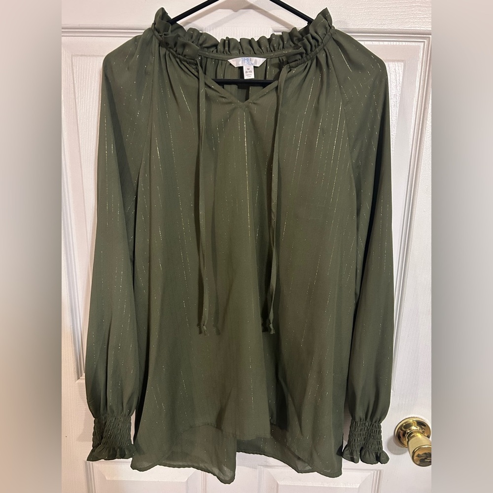 Time and Tru Shimmering Green Blouse